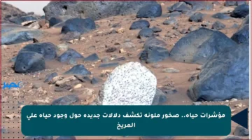 مؤشرات حياة.. صخور ملونة تكشف دلالات جديدة حول وجود حياة على المريخ